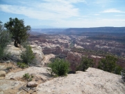 canyon_view