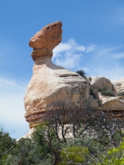 cool_formation