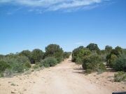 to_cathedral_point