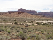 ben_on_the_trail