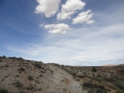 bright_trail