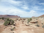 cool_trail