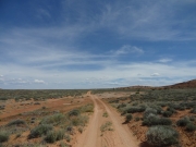 open_space
