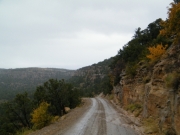 fall_colors