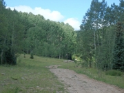 P8120034