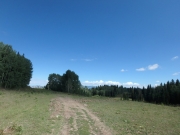 P8120050