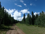 P8120069