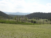 big_view