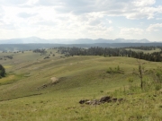 mountain_view