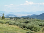 view_of_south_park