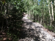 trail_part_1