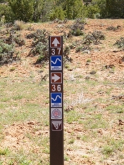 following_36