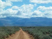 long_section