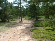 bumpy_on_330C