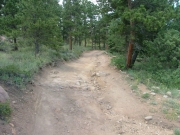 bumpy_section