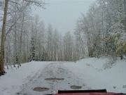 wintery_scene
