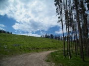 between_meadows