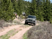 ray_on_the_trail