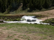 walt_through_the_water