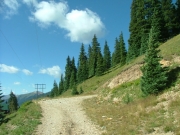 early_switchback
