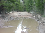 big_puddle