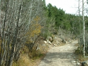 mellow_trail