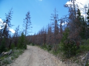 climbing