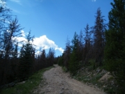 rockier