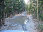 puddle_2