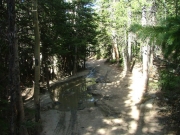 puddle_3