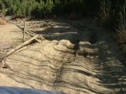 ruts