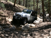 don_around_a_tree_part_5