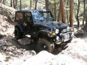 michael_around_a_tree_part_3