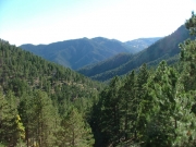 mountain_view
