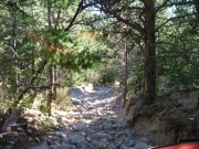 rocks_and_trees