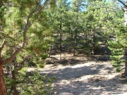 top_of_the_trail