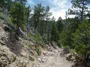early_rocks