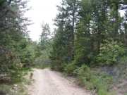 easy_trail