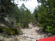 fun_rocks