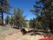 ditch