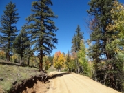fall_colors