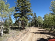 ruts