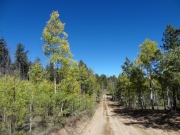 southern_end