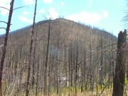 burned_hill