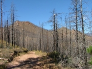 cedar_mountain
