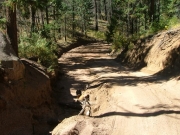 early_ditch