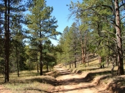 mellow_trail