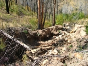runoff