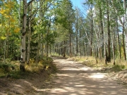 southern_section