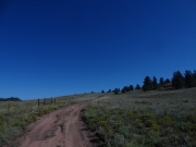 along_a_fence